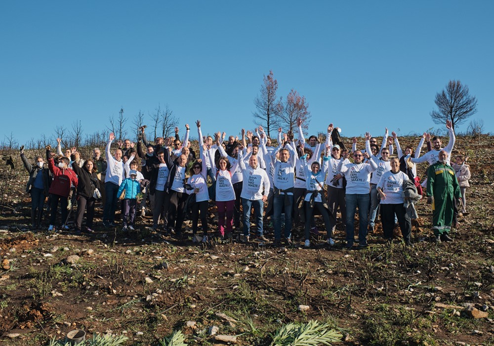 Οι εργαζόμενοι της Παπαστράτος φύτευσαν τα 300 πρώτα δέντρα την Παγκόσμια Ημέρα Εθελοντισμού